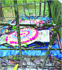 Image of ইউনুছ আলী শাওন